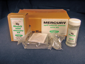 Mercury Spill Kit